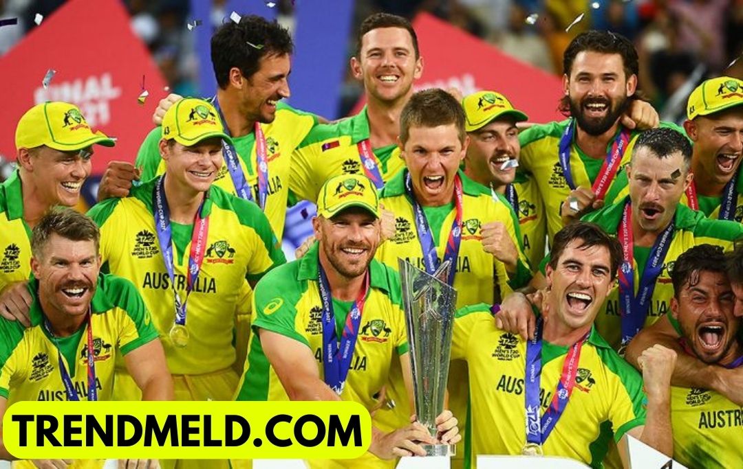 Australia Win Cricket World Cup