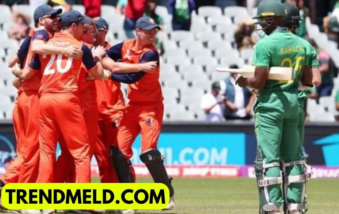 South Africa vs Netherlands Score Update World Cup